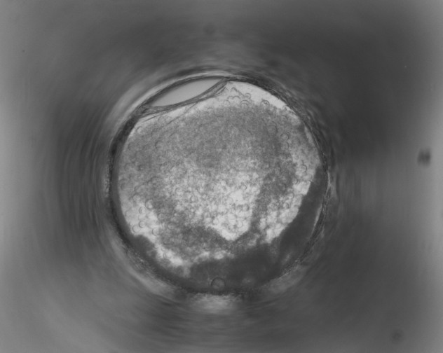 X0000115600247200912221152