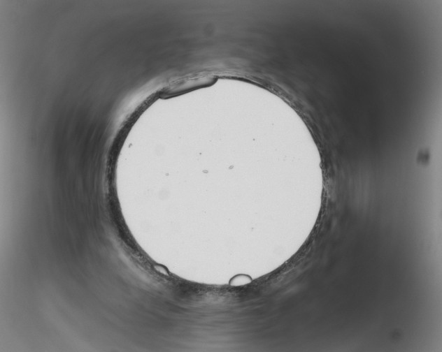 X0000115600248200912221152