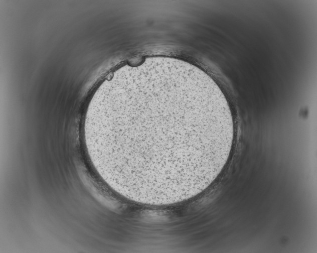 X0000115600250200912221152