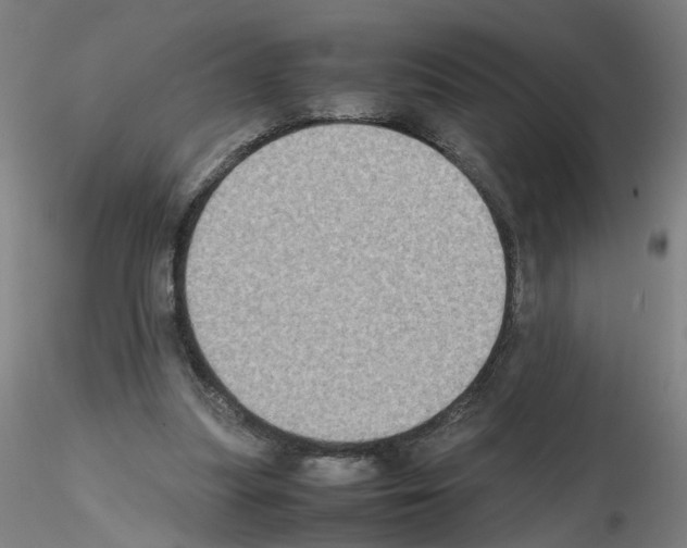 X0000115600251200912221152