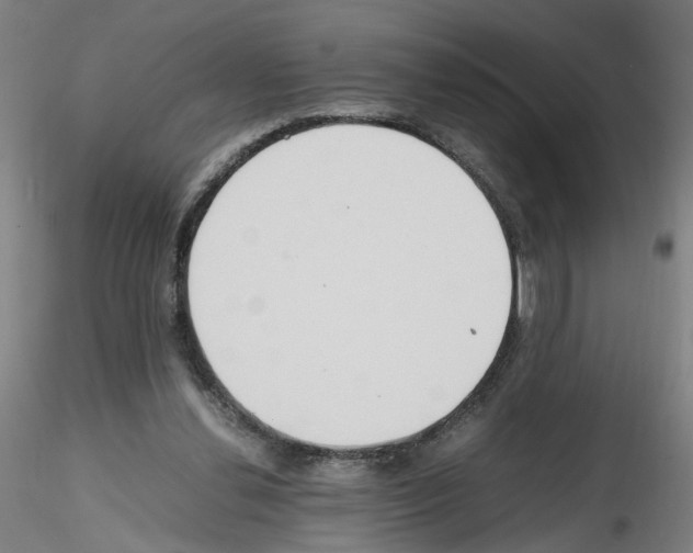 X0000115600252200912221152