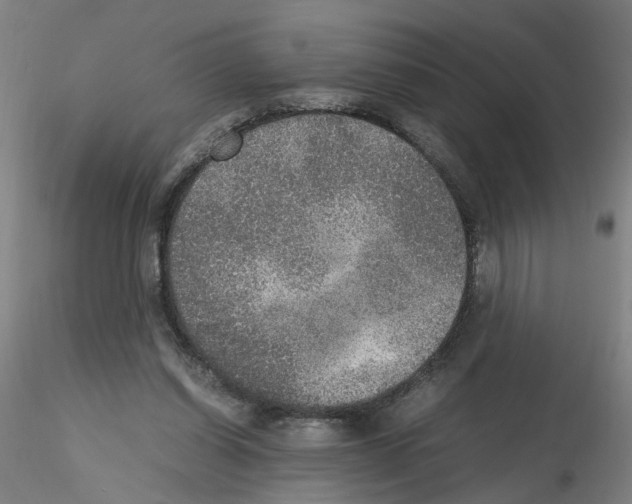 X0000115600254200912221152