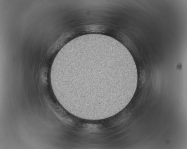 X0000115600255200912221152