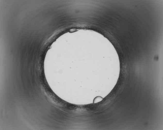 X0000115600256200912221152