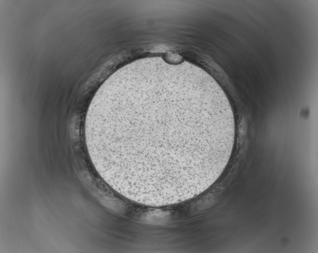 X0000115600257200912221152