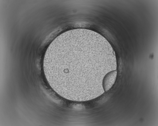 X0000115600258200912221152