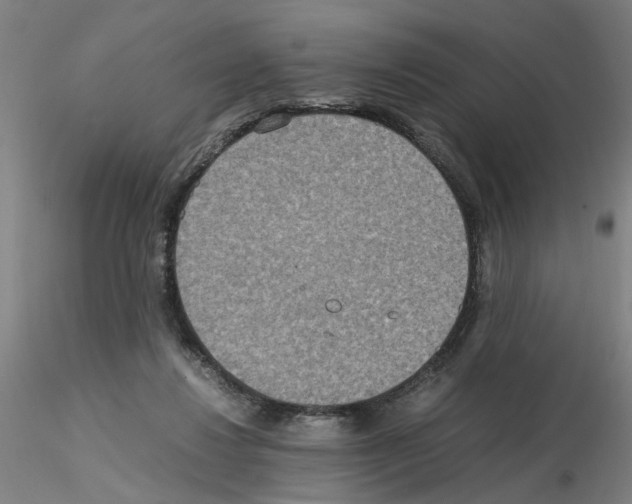 X0000115600260200912221152