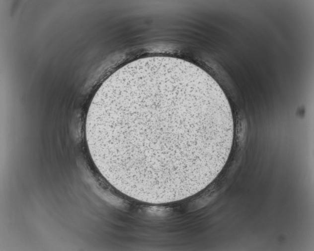 X0000115600261200912221152