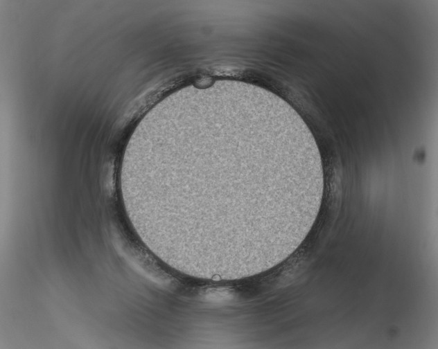 X0000115600262200912221152