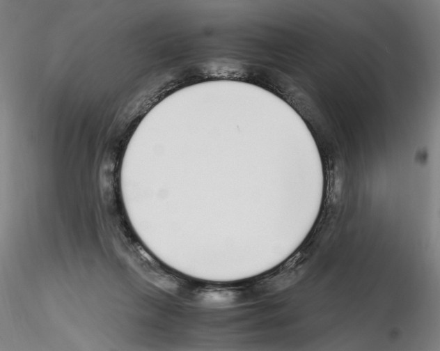 X0000115600263200912221152