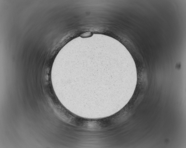 X0000115600264200912221152