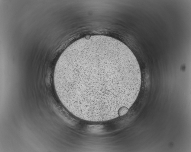 X0000115600266200912221152