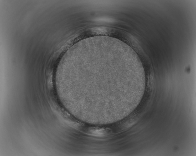 X0000115600267200912221152