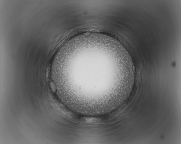 X0000115600268200912221152