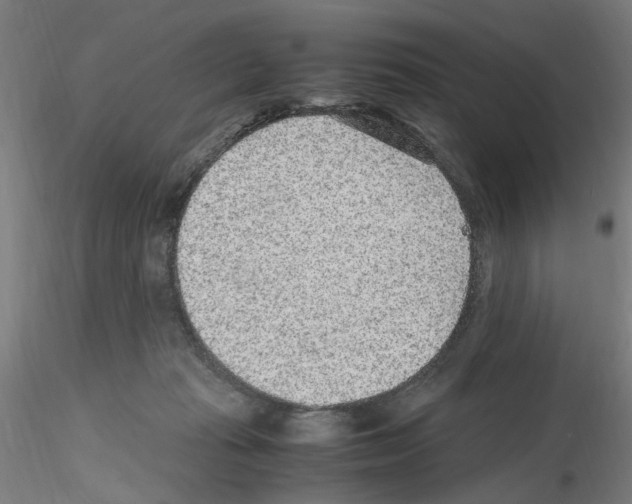 X0000115600269200912221152