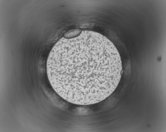 X0000115600272200912221152