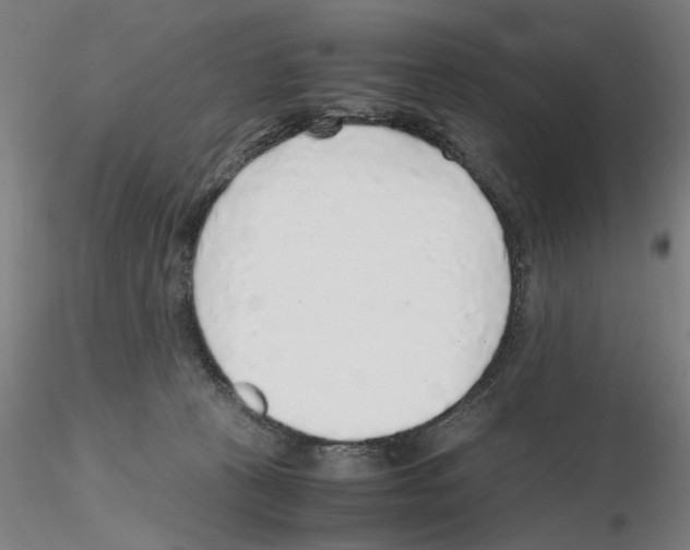 X0000115600273200912221152