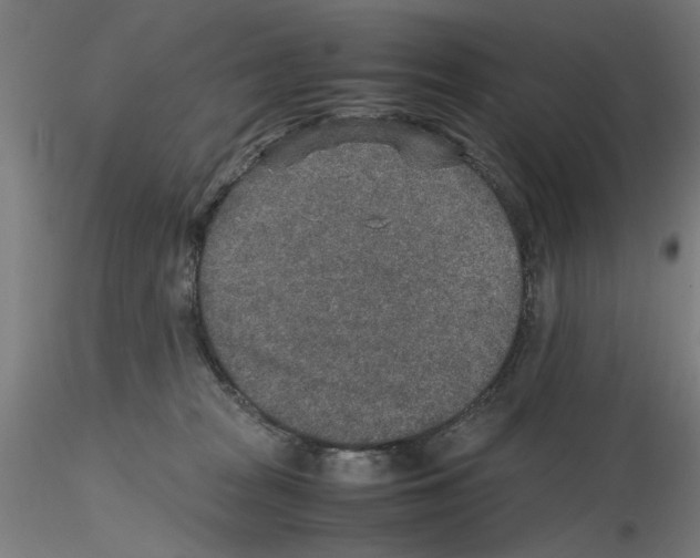 X0000115600277200912221152