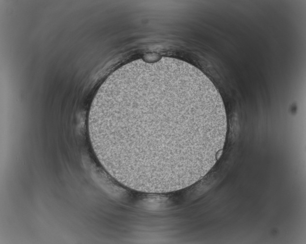 X0000115600278200912221152