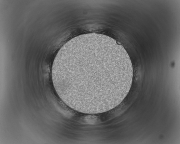 X0000115600279200912221152