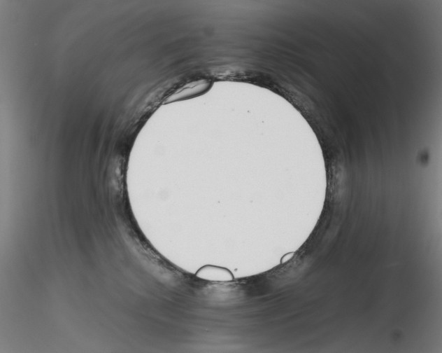 X0000115600280200912221152