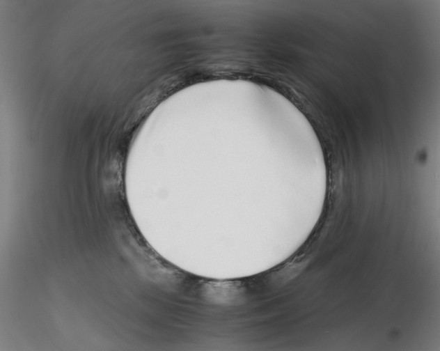 X0000115600281200912221152