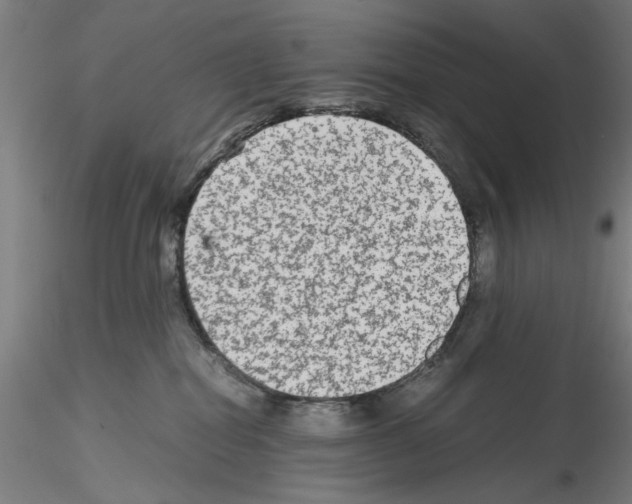 X0000115600282200912221152