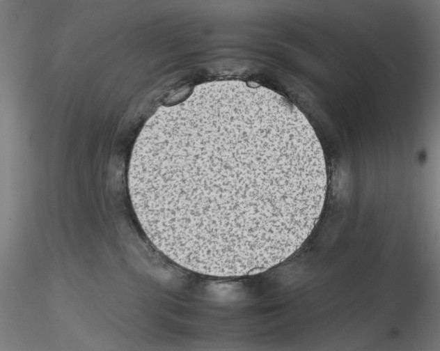 X0000115600283200912221152