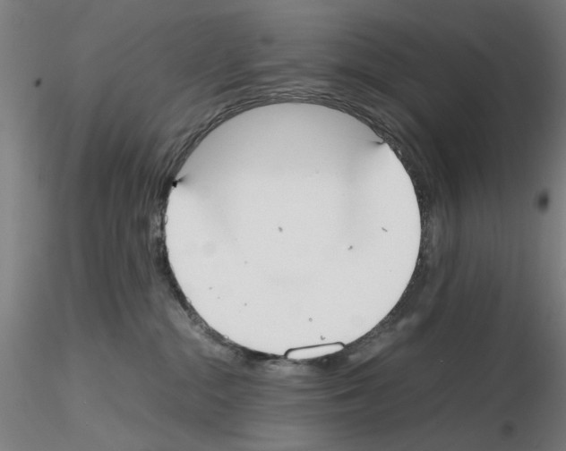 X0000115600284200912221152