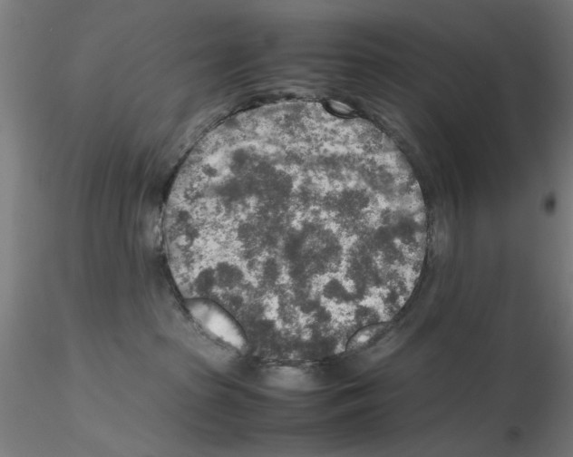 X0000115600285200912221152