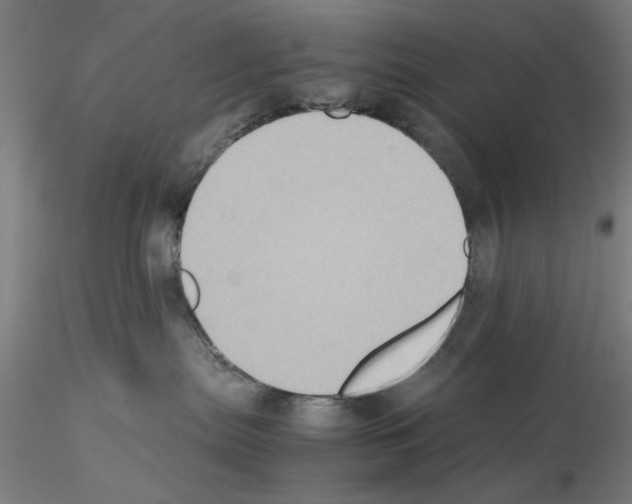 X0000115600287200912221152