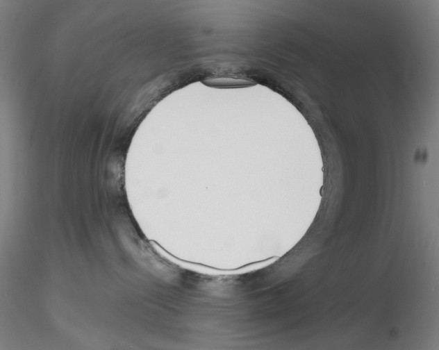 X0000115600288200912221152