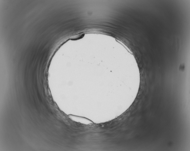 X0000115600289200912221152