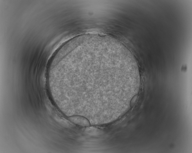 X0000115600290200912221152