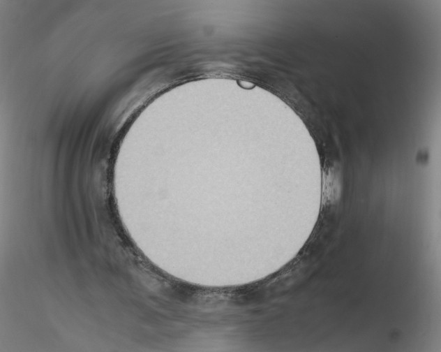 X0000115600291200912221152