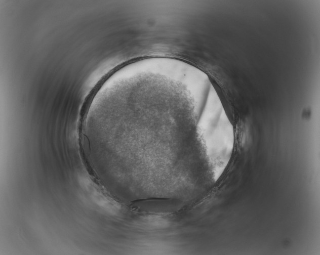 X0000115600292200912221152