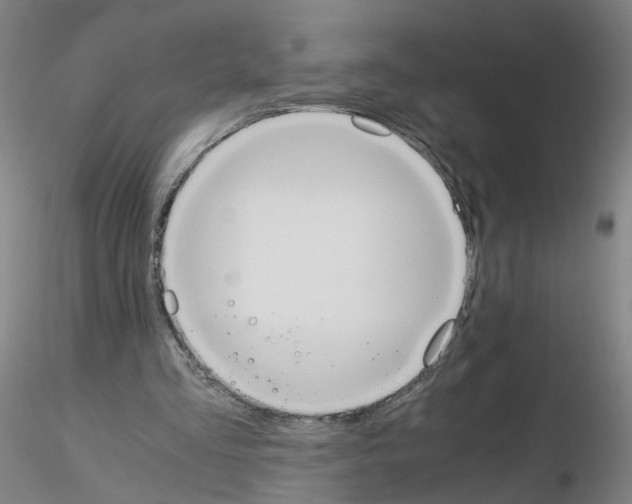 X0000115600293200912221152