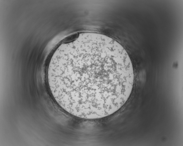 X0000115600294200912221152