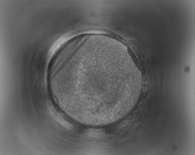 X0000115600296200912221152