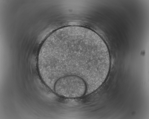 X0000115600297200912221152