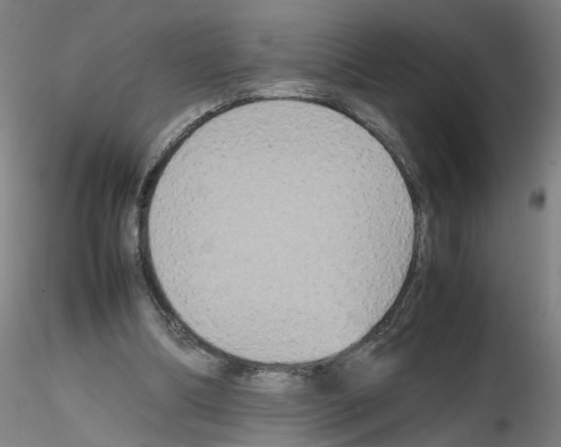 X0000115600298200912221152