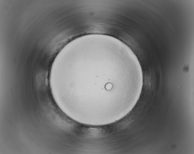 X0000115600302200912221152