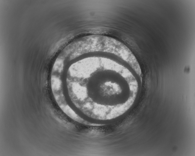 X0000115600303200912221152