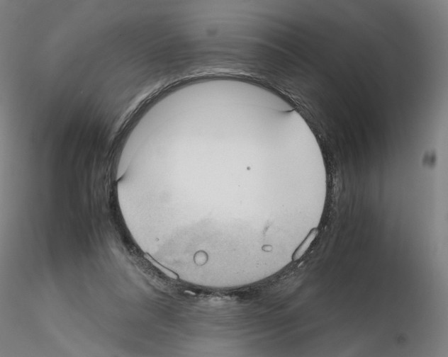 X0000115600304200912221152