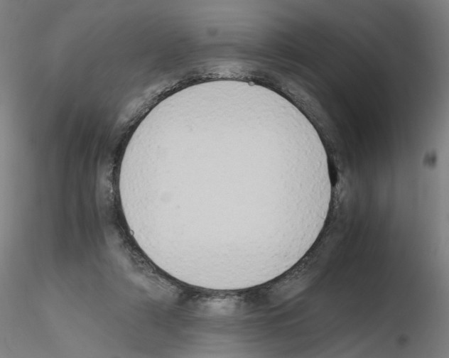 X0000115600306200912221152