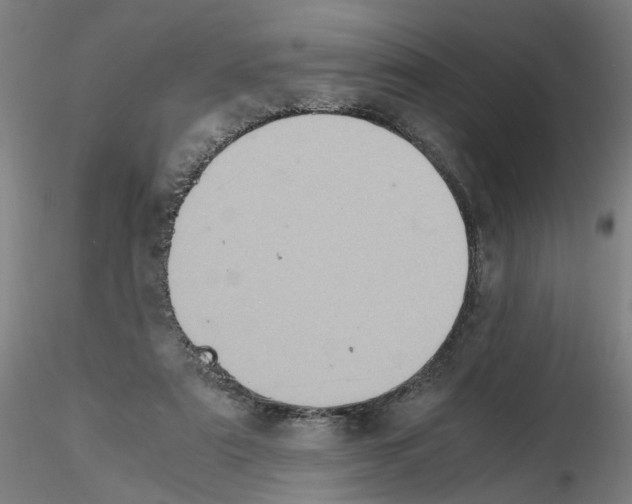 X0000115600307200912221152