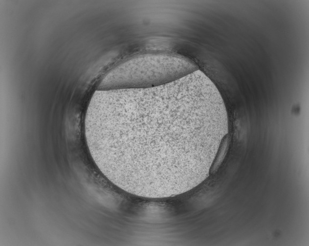 X0000115600308200912221152