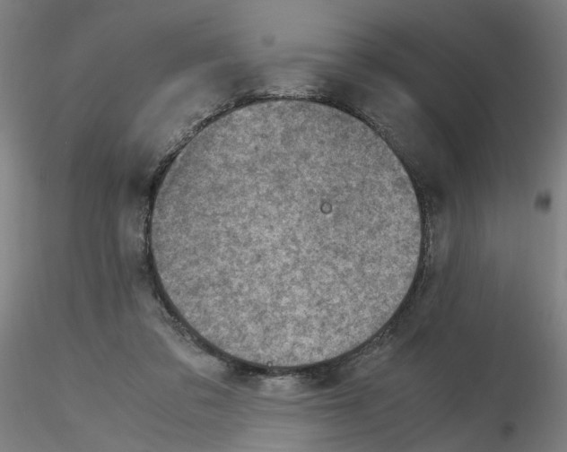 X0000115600309200912221152