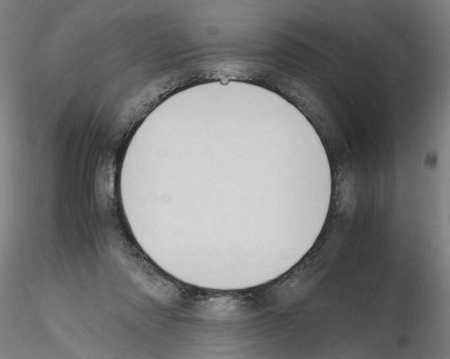 X0000115600310200912221152