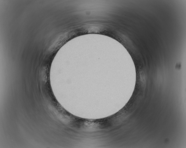 X0000115600311200912221152